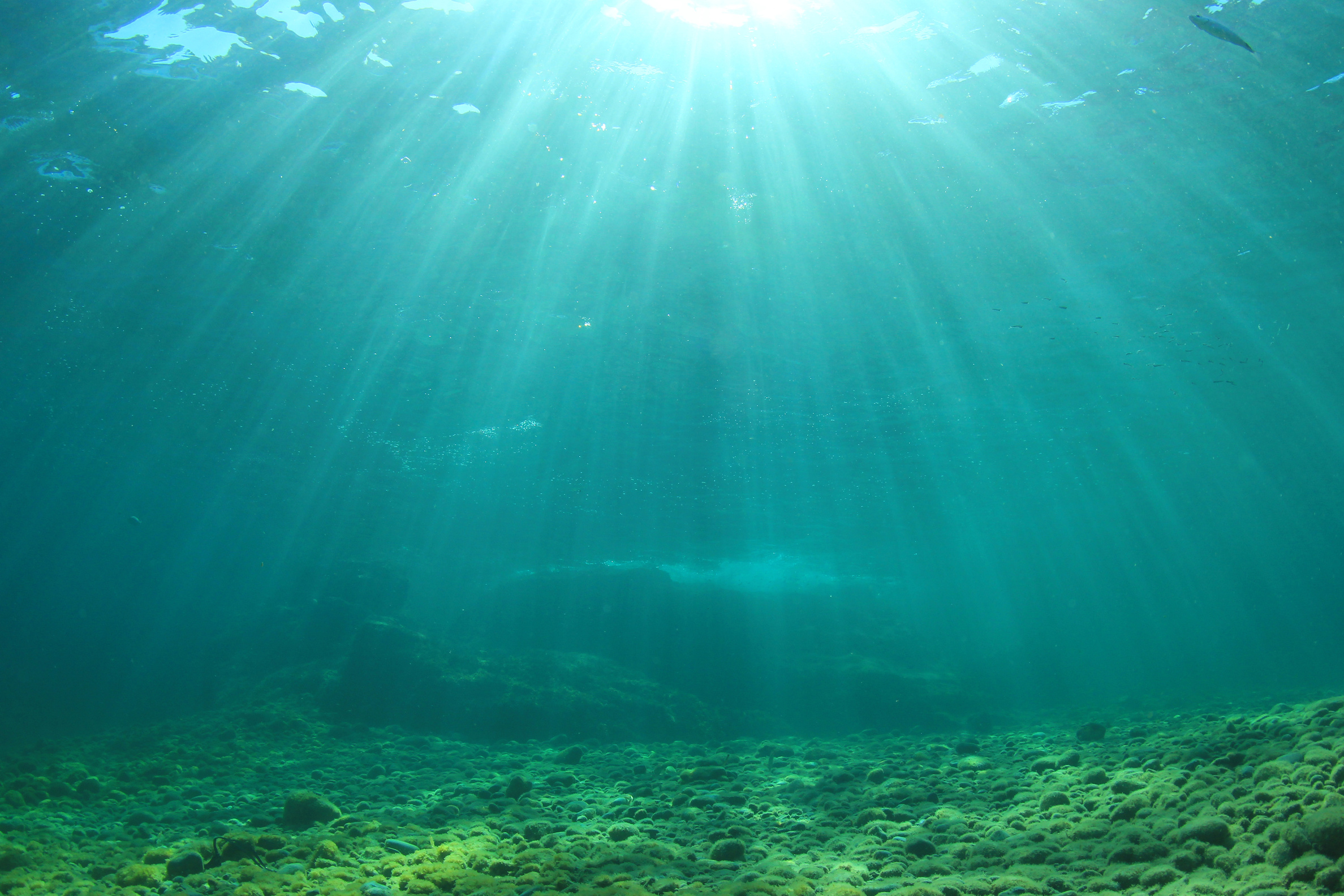 Underwater ocean background and sea bottom